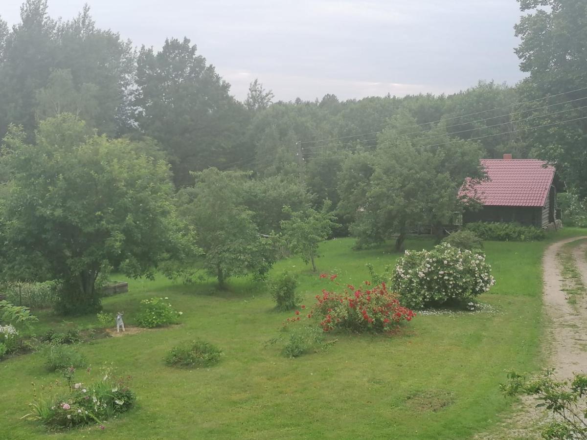 Country House Podini Apartment Malpils Bagian luar foto