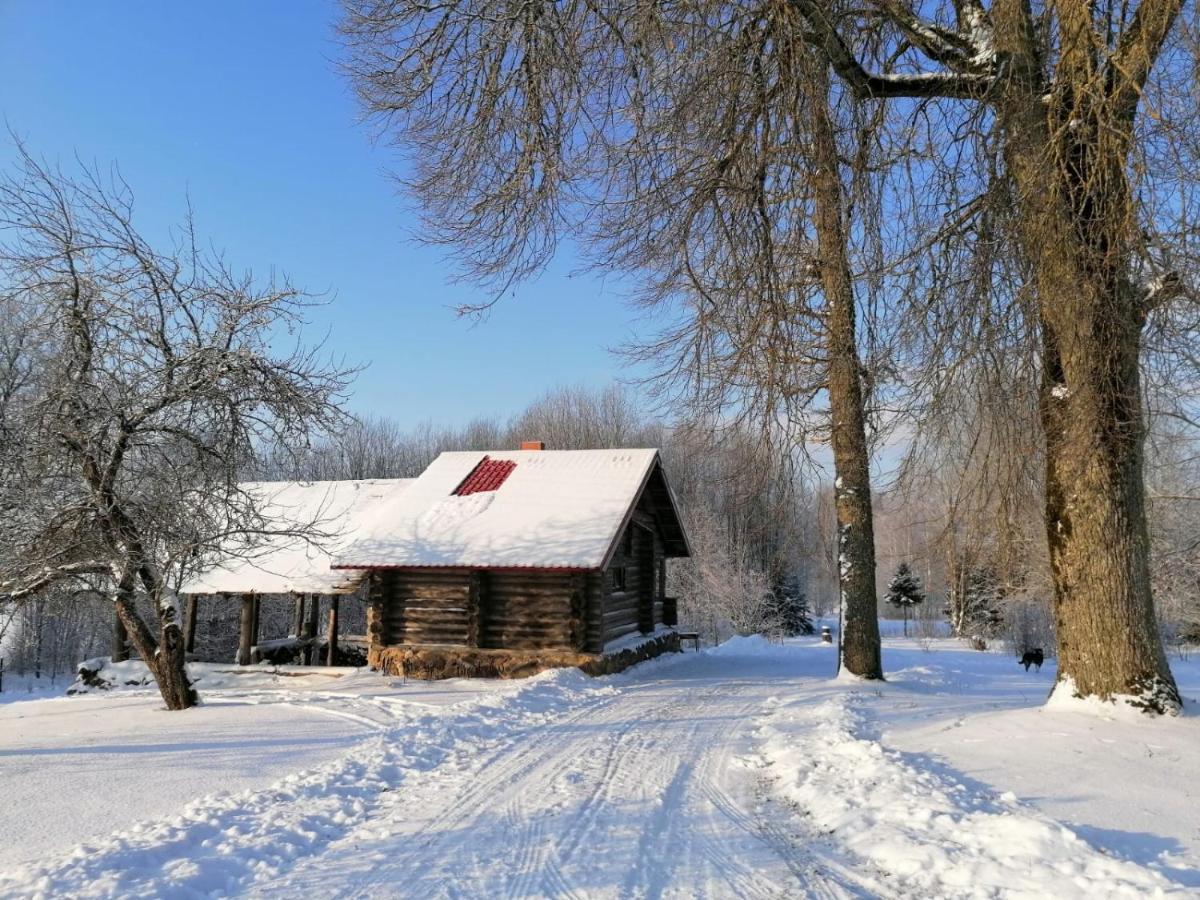 Country House Podini Apartment Malpils Bagian luar foto